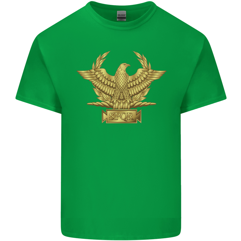 Gym Training Top Bodybuilding SPQR Mens Cotton T-Shirt Tee Top Irish Green