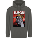 Juicy Rap Music Hip Hop Rapper Childrens Kids Hoodie Storm Grey