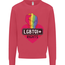 LGBTQI+ Rights Gay Pride Awareness LGBT Kids Sweatshirt Jumper Heliconia