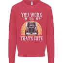 Lorry Driver You Work 9-5? Truck Funny Mens Sweatshirt Jumper Heliconia