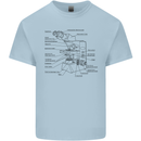 Microscope Biology Science Kids T-Shirt Childrens Light Blue