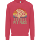 Resting Pit Bull Face Funny Dog Puppy Mens Sweatshirt Jumper Heliconia