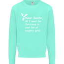 Santa Claus Naughty Girls Funny Christmas Mens Sweatshirt Jumper Peppermint