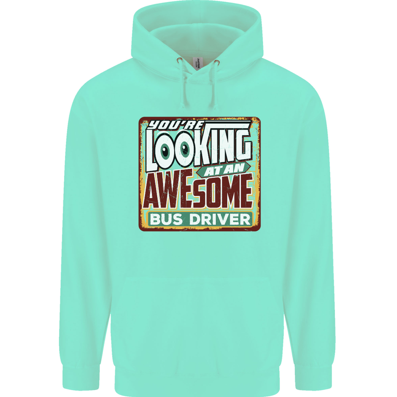 You're Looking at an Awesome Bus Driver Mens 80% Cotton Hoodie Peppermint