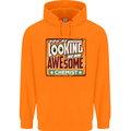 You're Looking at an Awesome Chemist Mens 80% Cotton Hoodie Orange