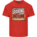 You're Looking at an Awesome Farmer Mens Cotton T-Shirt Tee Top Red