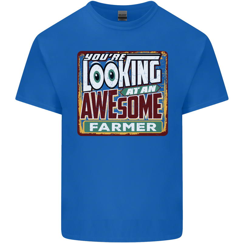 You're Looking at an Awesome Farmer Mens Cotton T-Shirt Tee Top Royal Blue