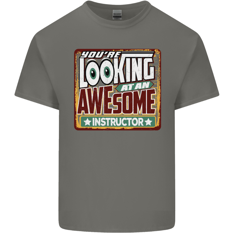 You're Looking at an Awesome Instructor Mens Cotton T-Shirt Tee Top Charcoal