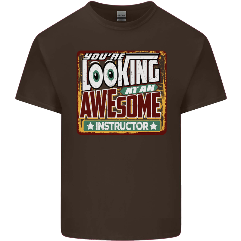 You're Looking at an Awesome Instructor Mens Cotton T-Shirt Tee Top Dark Chocolate