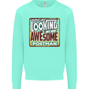 You're Looking at an Awesome Postman Mens Sweatshirt Jumper Peppermint