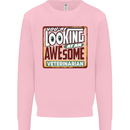 You're Looking at an Awesome Veterinarian Mens Sweatshirt Jumper Light Pink