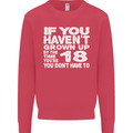 18th Birthday 18 Year Old Don't Grow Up Funny Mens Sweatshirt Jumper Heliconia