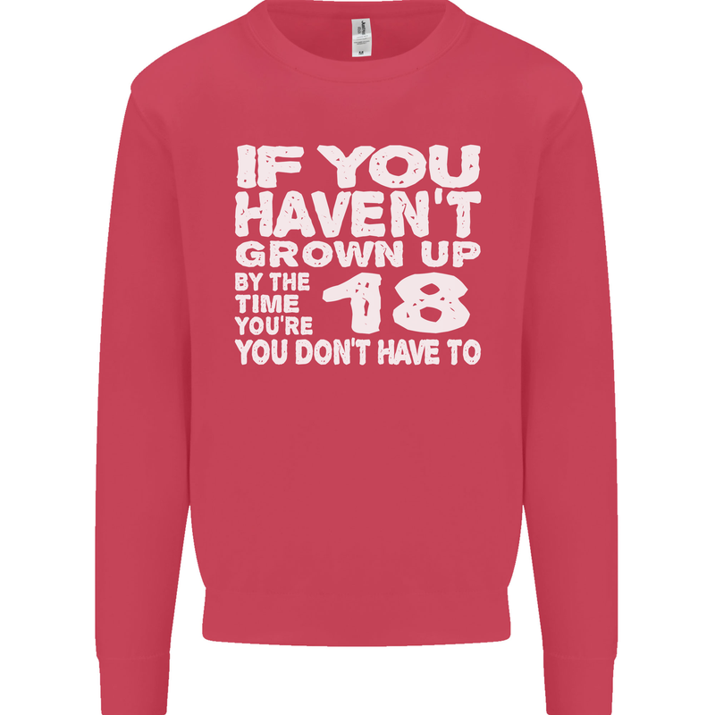 18th Birthday 18 Year Old Don't Grow Up Funny Mens Sweatshirt Jumper Heliconia