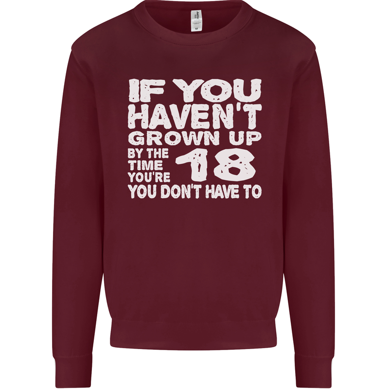 18th Birthday 18 Year Old Don't Grow Up Funny Mens Sweatshirt Jumper Maroon