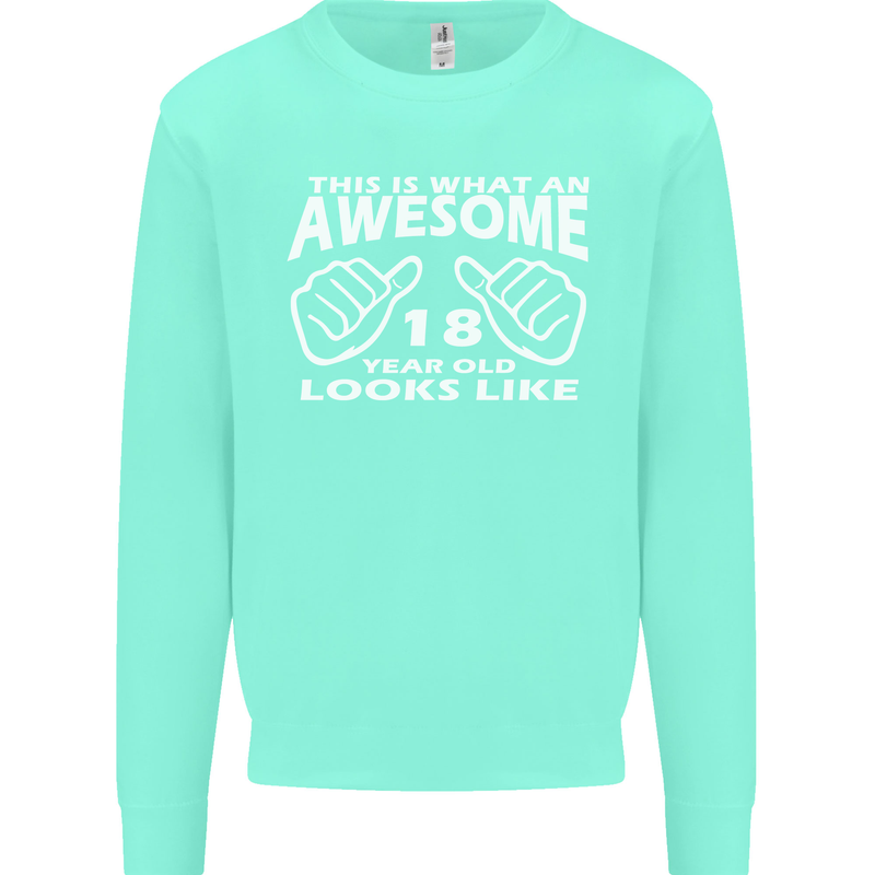 18th Birthday 18 Year Old This Is What Mens Sweatshirt Jumper Peppermint