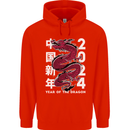 2024 Zodiac Chinese New Year of the Dragon Childrens Kids Hoodie Bright Red
