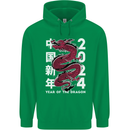2024 Zodiac Chinese New Year of the Dragon Childrens Kids Hoodie Irish Green