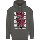 2024 Zodiac Chinese New Year of the Dragon Childrens Kids Hoodie Storm Grey