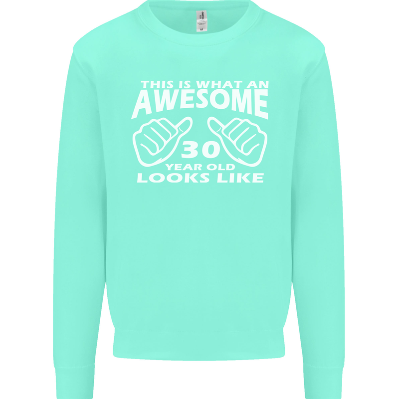 30th Birthday 30 Year Old This Is What Mens Sweatshirt Jumper Peppermint