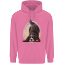A Bernese Mountain Dog Mens 80% Cotton Hoodie Azelea