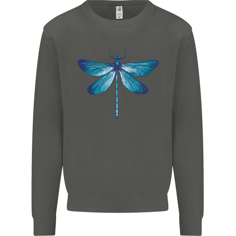 A Blue Dragonfly Kids Sweatshirt Jumper Storm Grey