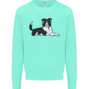 A Border Collie Dog Lying Down Kids Sweatshirt Jumper Peppermint