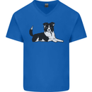 A Border Collie Dog Lying Down Mens V-Neck Cotton T-Shirt Royal Blue