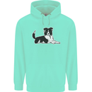 A Border Collie Dog Mens 80% Cotton Hoodie Peppermint