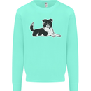 A Border Collie Dog Mens Sweatshirt Jumper Peppermint