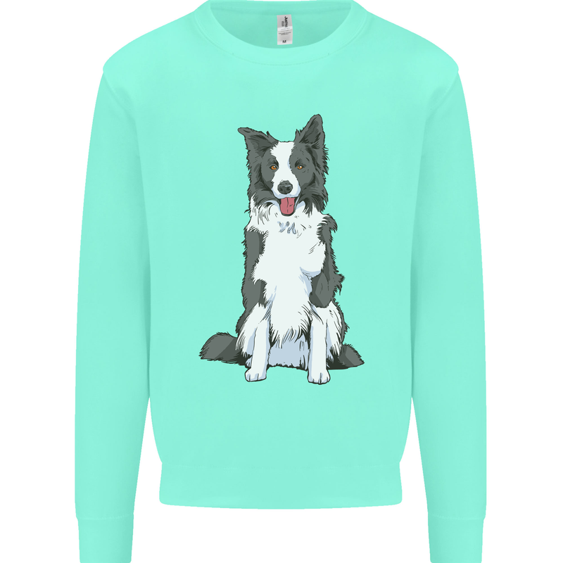 A Border Collie Kids Sweatshirt Jumper Peppermint