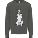 A Border Collie Kids Sweatshirt Jumper Storm Grey