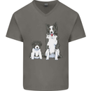 A Border Collie and Puppy Mens V-Neck Cotton T-Shirt Charcoal