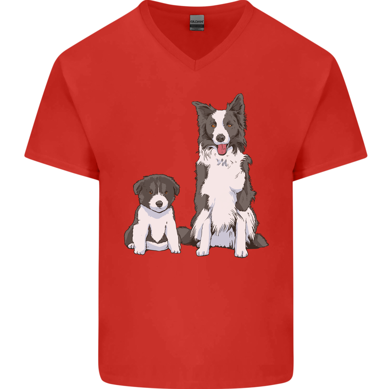 A Border Collie and Puppy Mens V-Neck Cotton T-Shirt Red