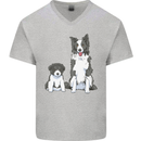 A Border Collie and Puppy Mens V-Neck Cotton T-Shirt Sports Grey