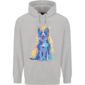 A Colourful Border Collie Dog Design Childrens Kids Hoodie Sports Grey