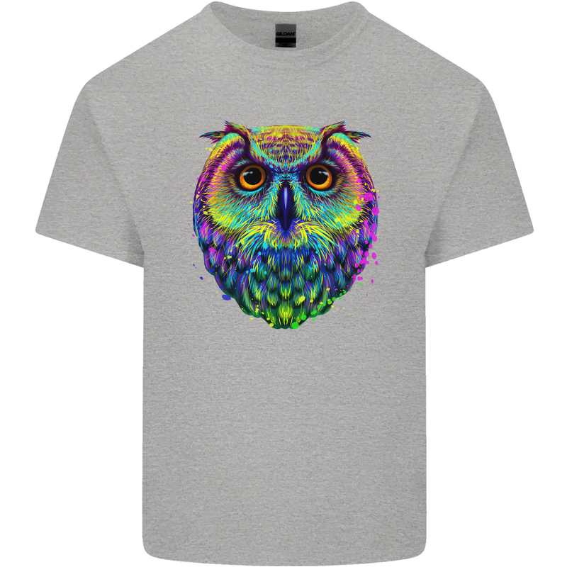 A Colourful Owl Kids T-Shirt Childrens Sports Grey