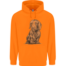 A Dachshund Dog Childrens Kids Hoodie Orange