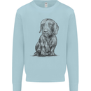 A Dachshund Dog Kids Sweatshirt Jumper Light Blue