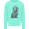 A Dachshund Dog Kids Sweatshirt Jumper Peppermint