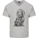 A Dachshund Dog Mens V-Neck Cotton T-Shirt Sports Grey