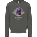 A Dachshund Dog With Decoration Kids Sweatshirt Jumper Storm Grey