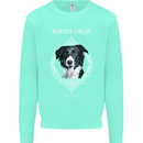 A Decorative Border Collie Kids Sweatshirt Jumper Peppermint