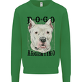 A Dogo Argentino Dog Kids Sweatshirt Jumper Irish Green