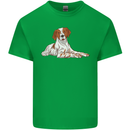 A Epagneul Breton Dog Kids T-Shirt Childrens Irish Green