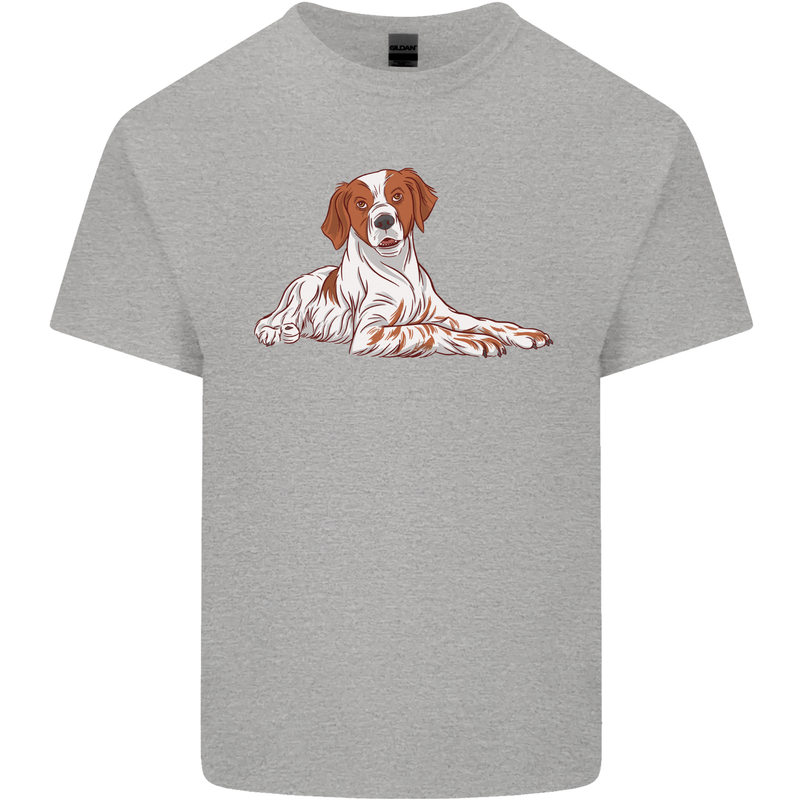 A Epagneul Breton Dog Kids T-Shirt Childrens Sports Grey