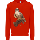 A Falcon Falconry Kids Sweatshirt Jumper Bright Red