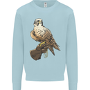 A Falcon Falconry Kids Sweatshirt Jumper Light Blue
