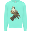 A Falcon Falconry Kids Sweatshirt Jumper Peppermint
