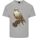 A Falcon Falconry Kids T-Shirt Childrens Sports Grey