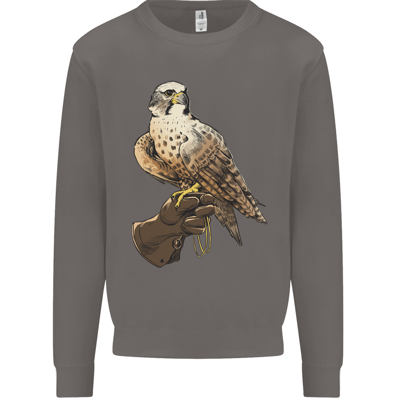 A Falcon Falconry Mens Sweatshirt Jumper Charcoal